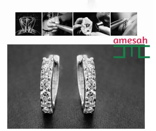 Round Micro Inlaid Zircon Earrings - Image 3